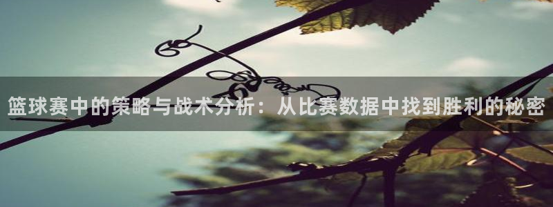 篮球赛中的策略与战术分析：从比赛数据中找到胜利的秘密