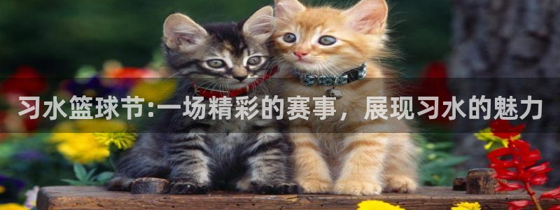  体育场地调查app苹果手机：习水篮球节:一场精彩的赛事，展现