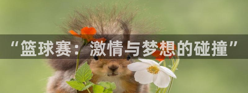 PG体育登录入口：“篮球赛：激情与梦想的碰撞”