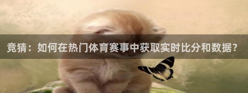  pg电子游戏试玩：竞猜：如何在热门体育赛事中获取实时比分和数