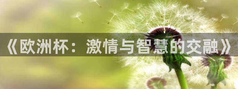 PG体育娱乐官网入口：《欧洲杯：激情与智慧的交融》