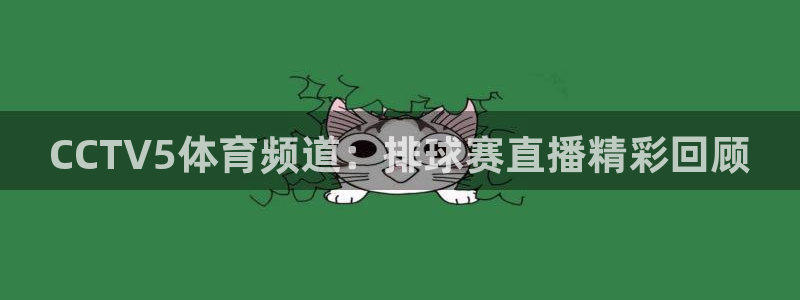 苹果手机体育软件是哪个版本：CCTV5体育频道：排球赛直播精