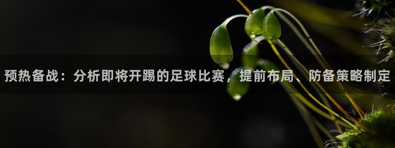  苹果手机好玩的体育类游戏推荐：预热备战：分析即将开踢的足球比