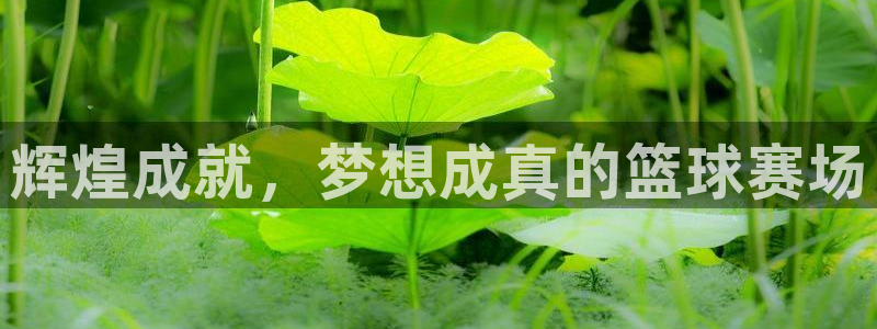 PG体育平台登录入口：辉煌成就，梦想成真的篮球赛场