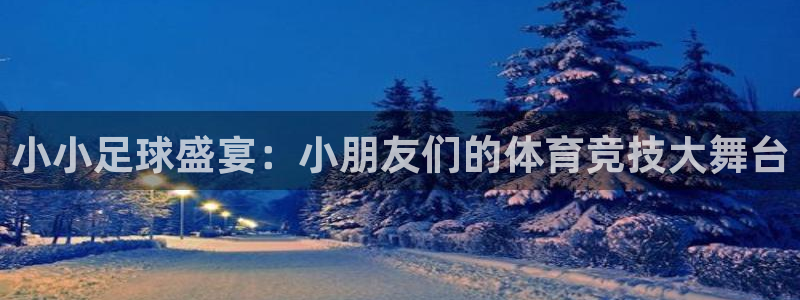 试玩pg电子平台：小小足球盛宴：小朋友们的体育竞技大舞台