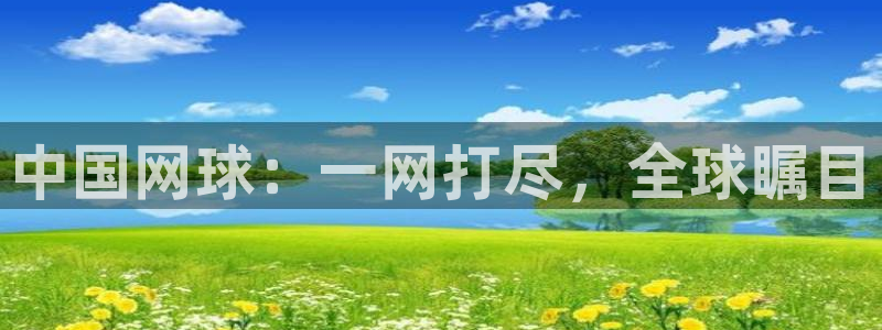 苹果手机体感游戏有哪些：中国网球：一网打尽，全球瞩目